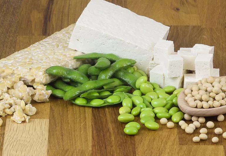 Vegetarian protein alternatives of tofu beand edamame