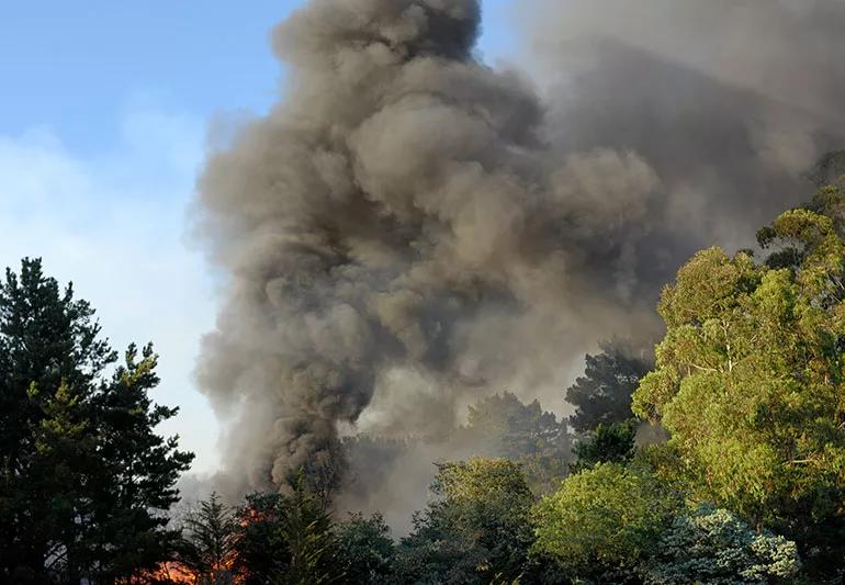 large cloud of smoke rising above the top of a forest