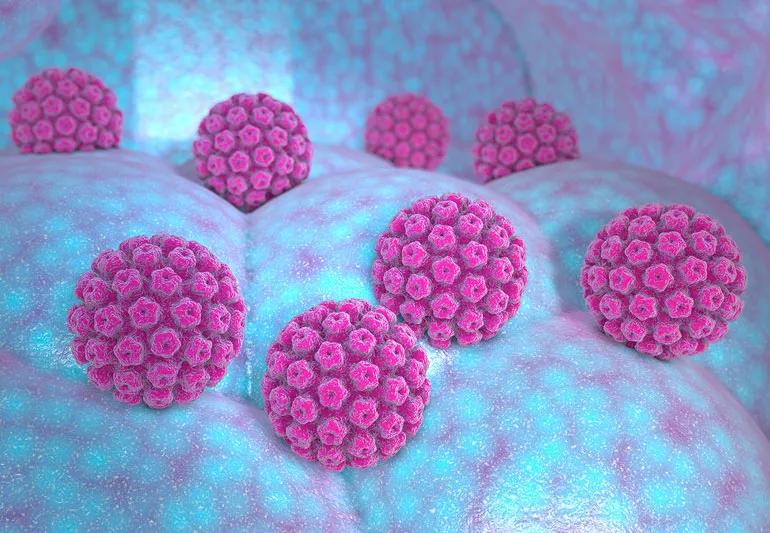 illustration of the HPV virus