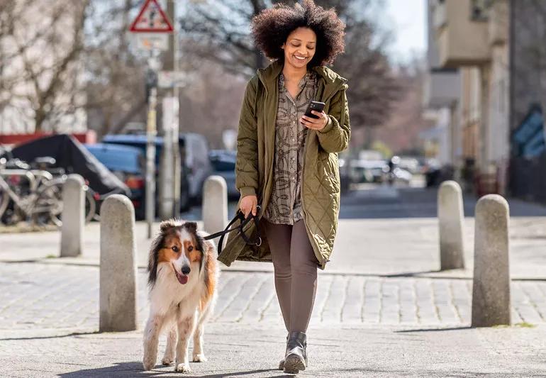 Person enjoying a walk with thier dog while looking at their phone.
