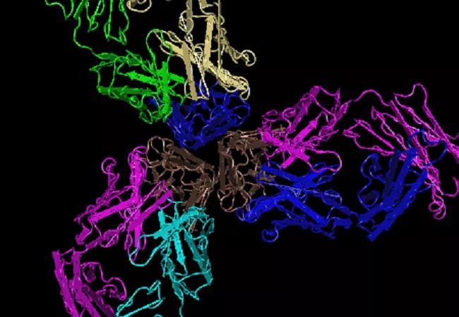 TNF alpha with infliximab fab fragment from NCBI