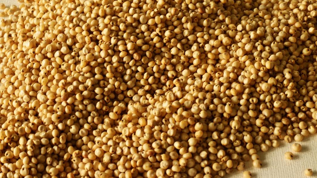 Pile of whole-grain sorghum