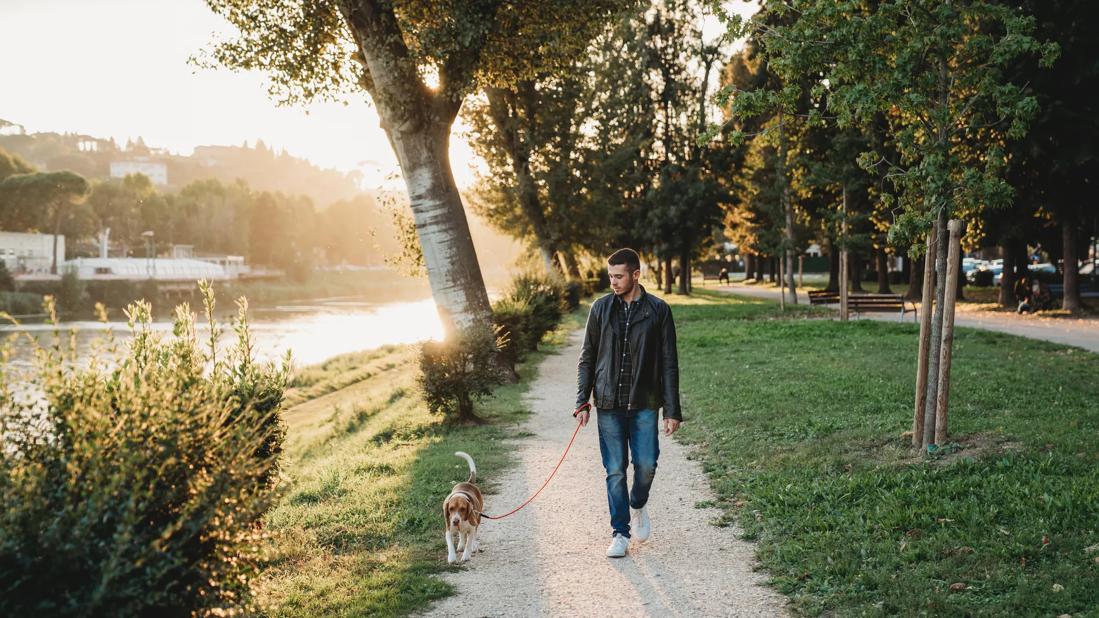 Young man wearing jeans and a leather jacket walks a small brown and white dog on a wooded path next to a river