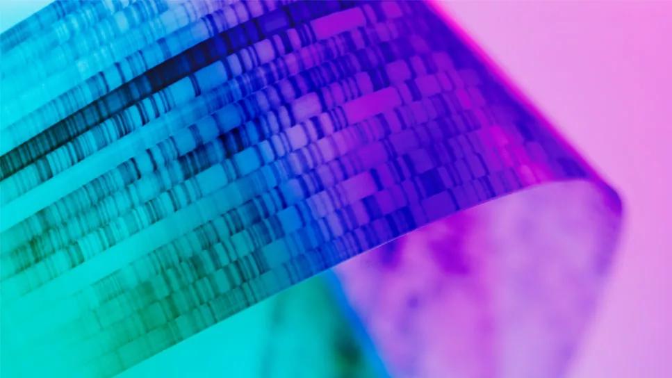 DNA gel showing genetic sequencing