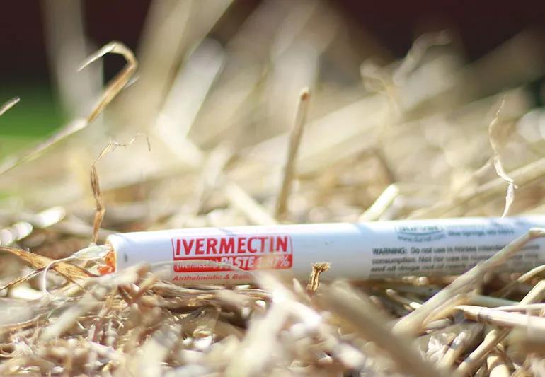 Tube of ivermectin paste lying on straw
