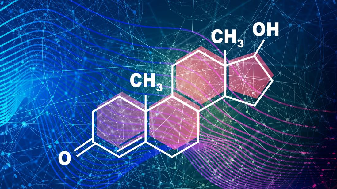 Testosterone molecule