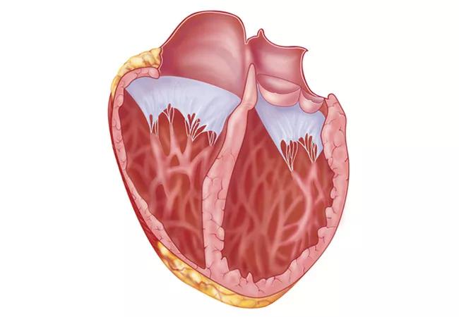 17-HRT-3687-Cardiomyopathy-Autoantibody-CQD