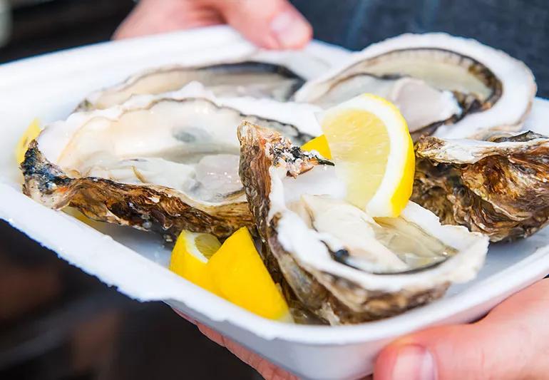 oysters in shells on a food tray