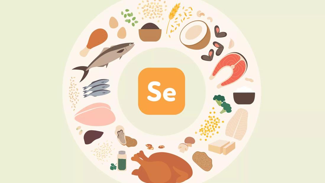 foods enriched with selenium