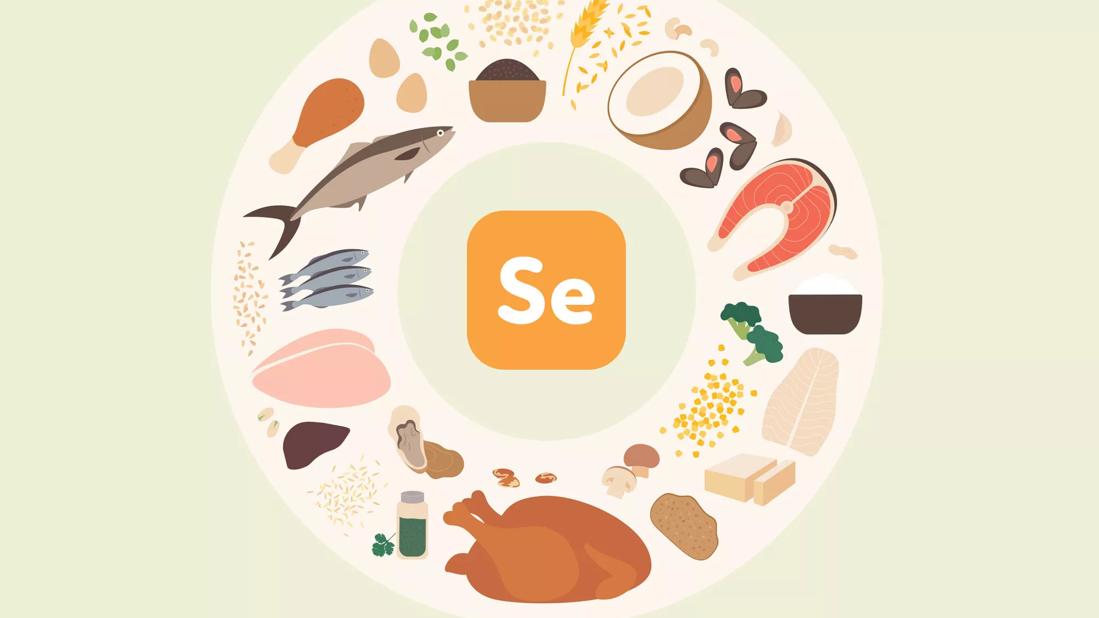 foods enriched with selenium