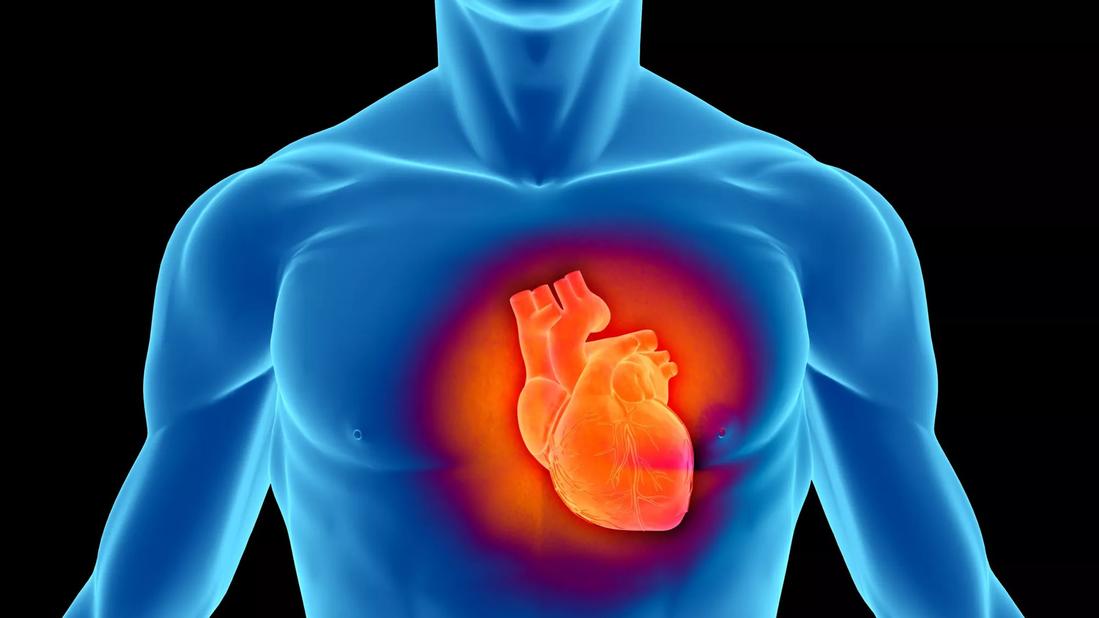 Cleveland Clinic Weston Reaches 200th Heart Transplant Milestone