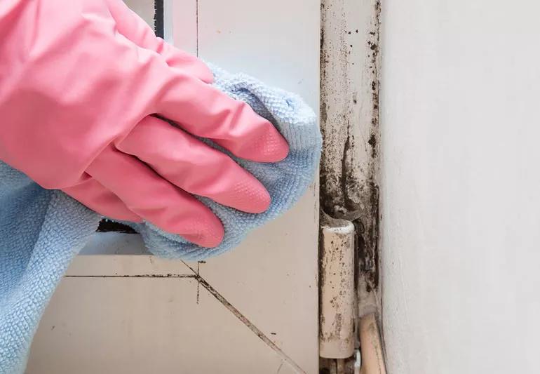 Cleaning mold in bathroom