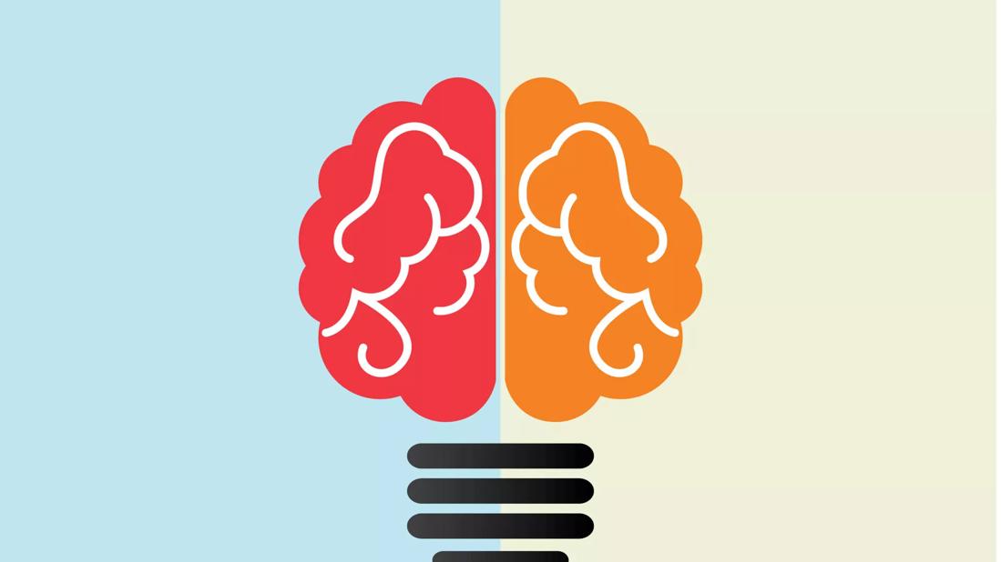 left and right half of brain making a light bulb