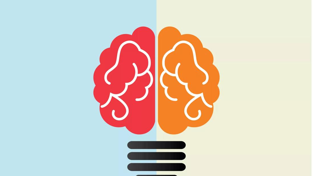 left and right half of brain making a light bulb