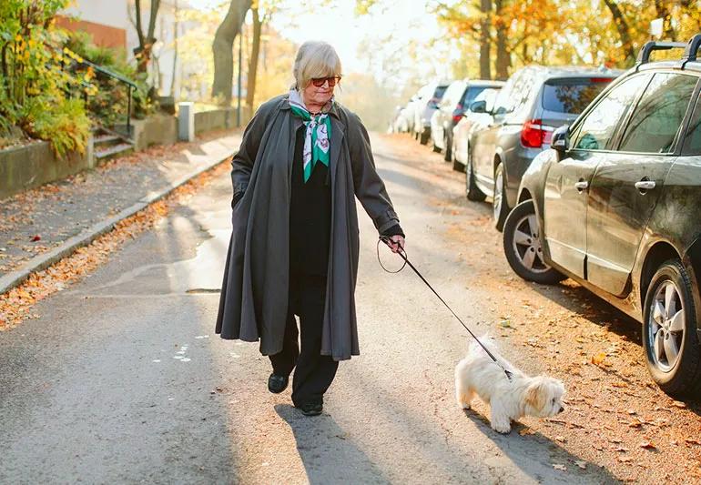 elderly womanwalking dog in afternoon