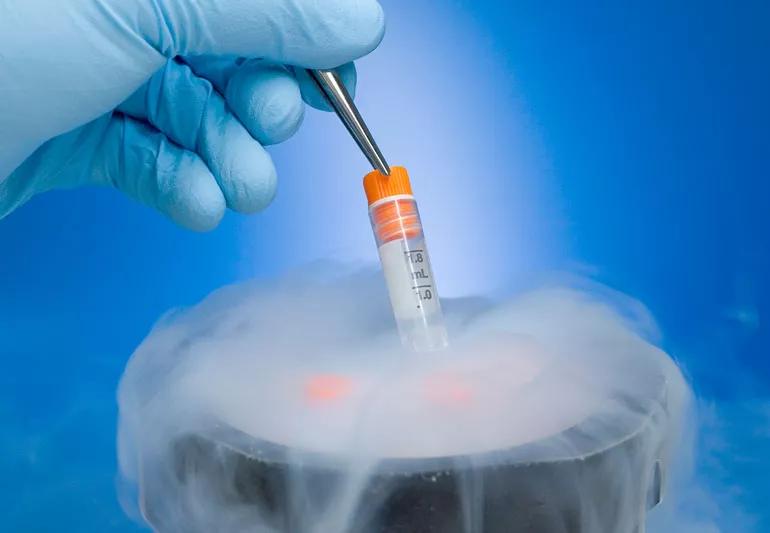 medical practitioner's hand placing sealed tube containing egg into liquid nitrogen tank