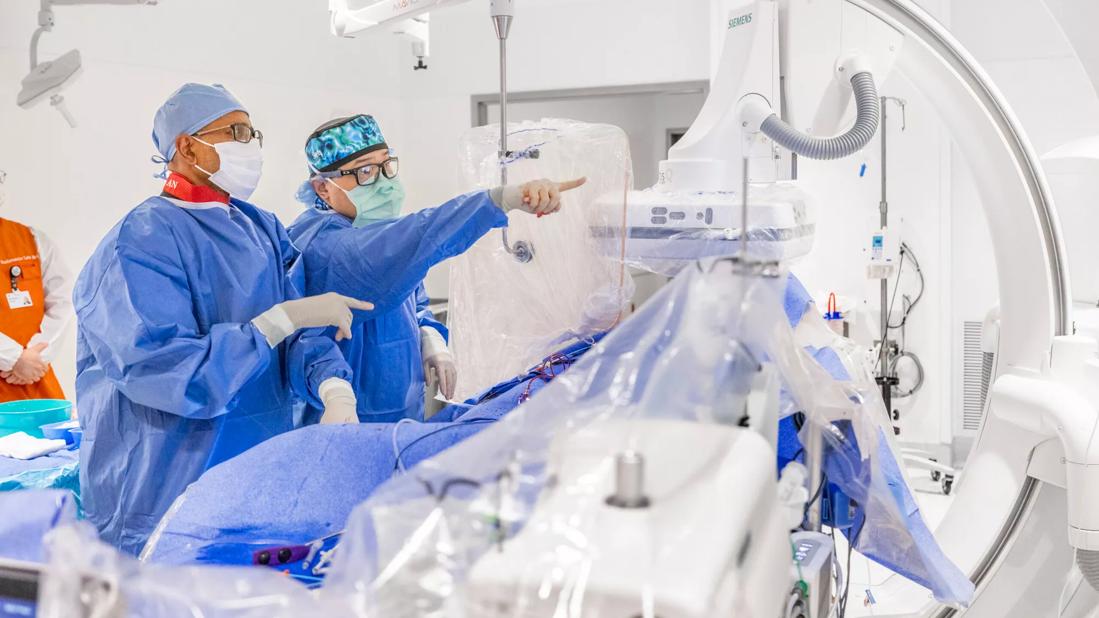 monitor during a renal denervation procedure