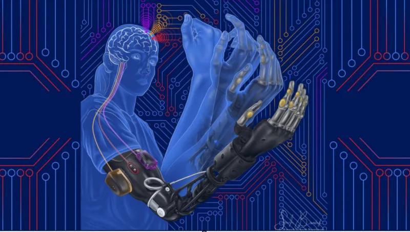 University of Freiburg Study Reveals How Brain Cells Coordinate Movement Planning