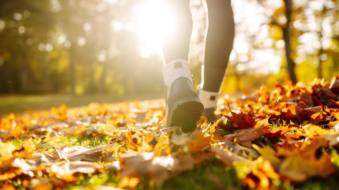 Legs and feet of person walking through leaves on grass outside