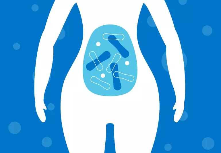 Probiotics in digestive track of woman
