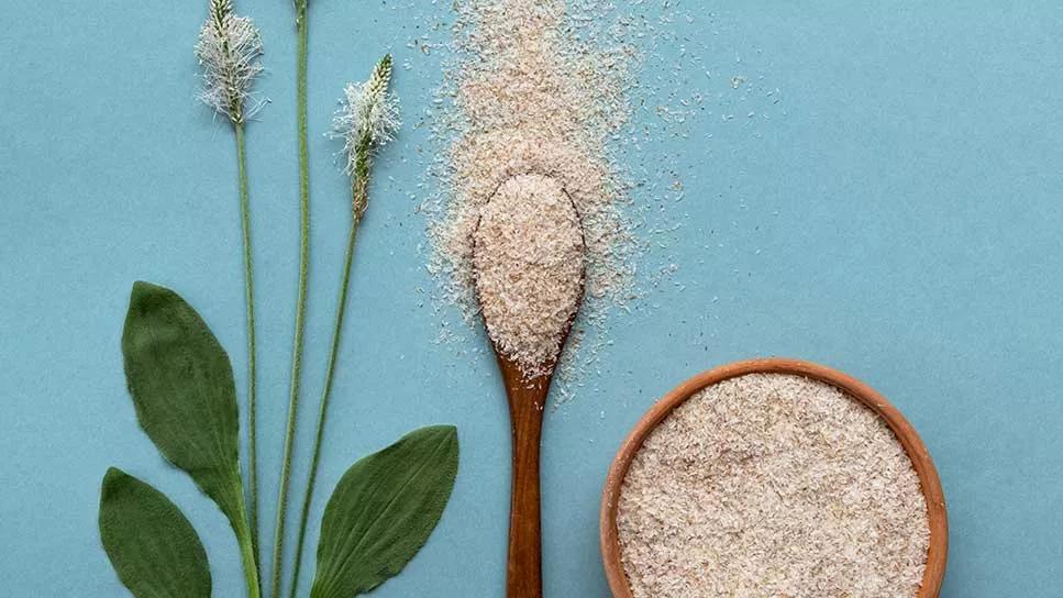 psyllium husk and psyllium husk powder on wooden spoon and in wooden bowl