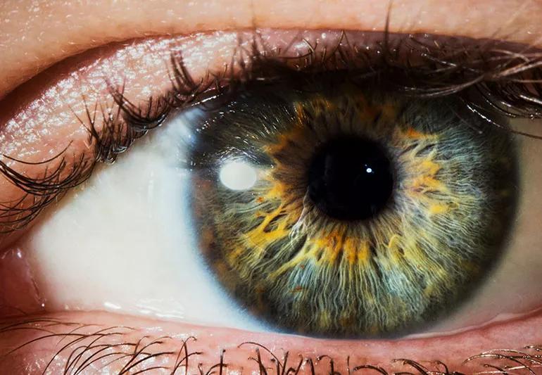 closeup of an eye