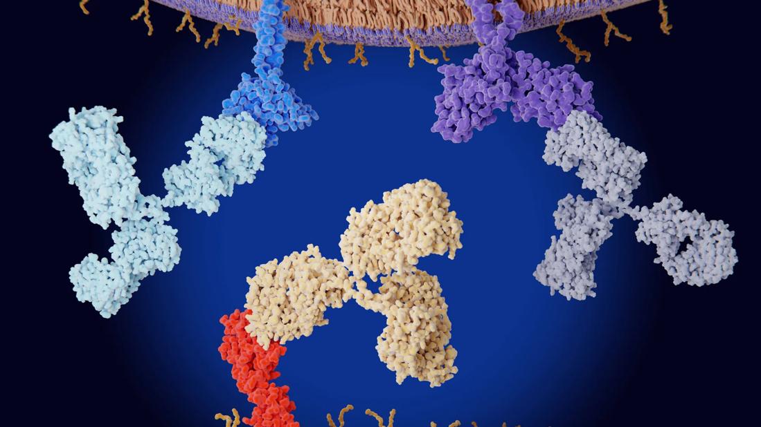 Checkpoint inhibitors