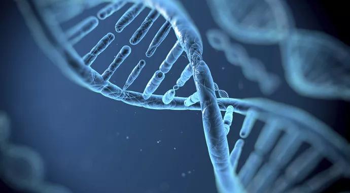 DNA-strand_690x380