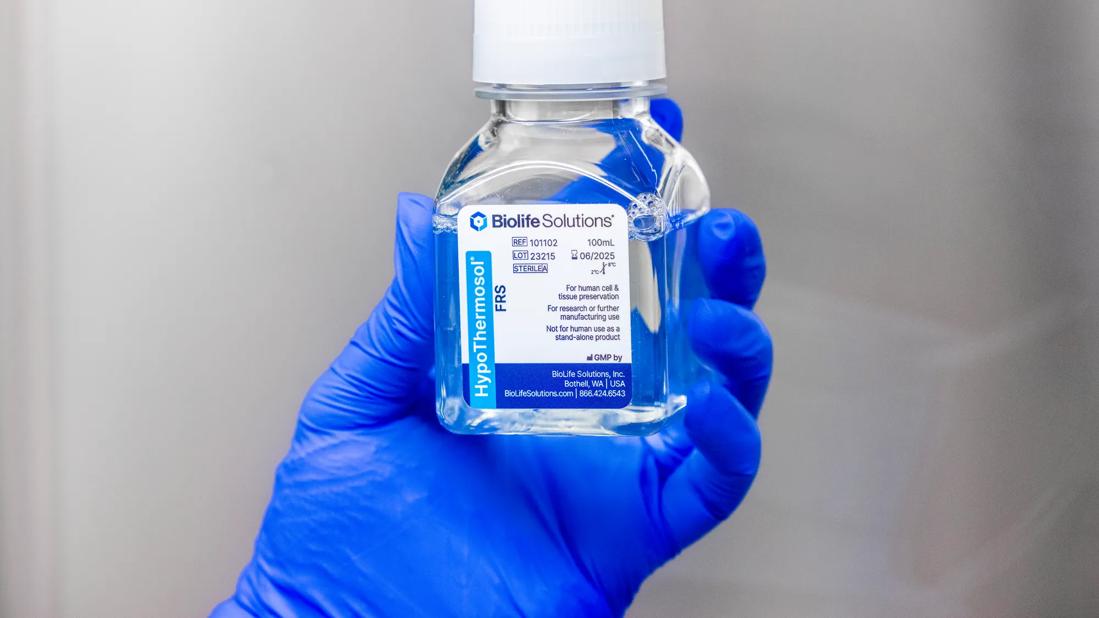 Lymphocyte therapy