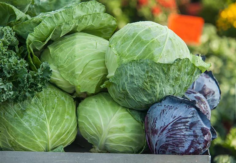 Farmer's market cabbage stand.