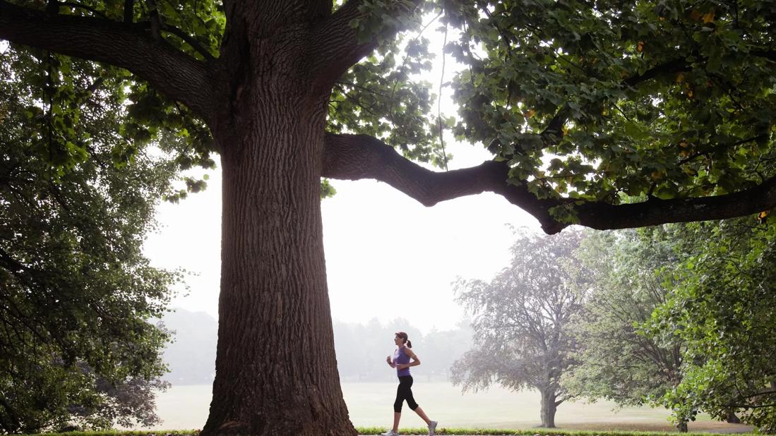 Person jogging in foggy park among big, green trees