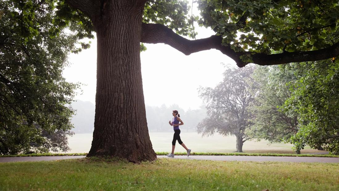 Person jogging in foggy park among big, green trees