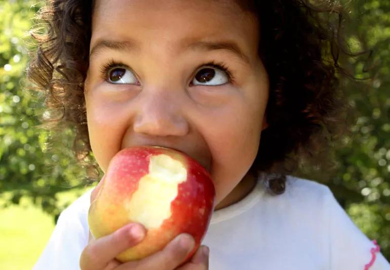 small child eating apple for fiber