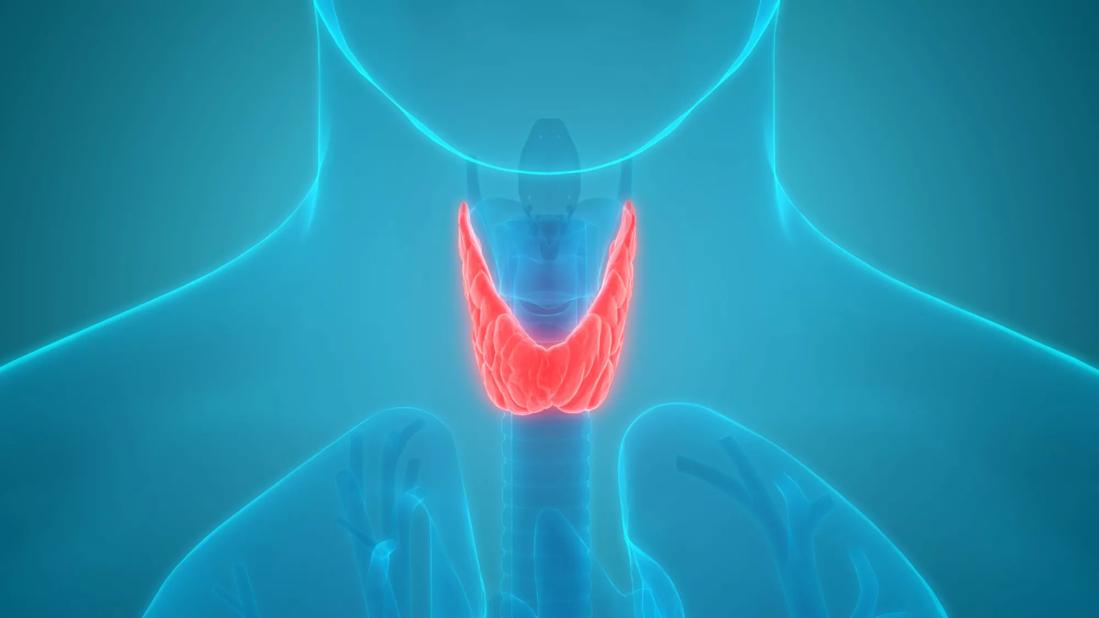 What’s the Difference Between Hypothyroidism and Hyperthyroidism?