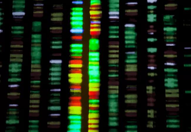 gene-sequencing_650x450