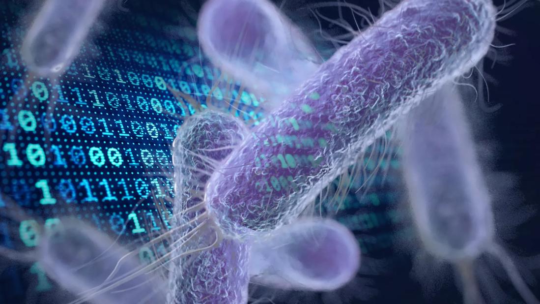 UTI bacteria and artificial intelligence