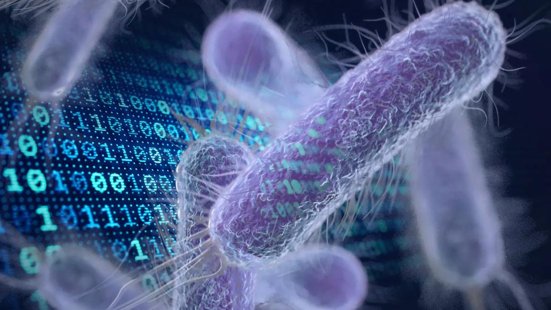 UTI bacteria and artificial intelligence