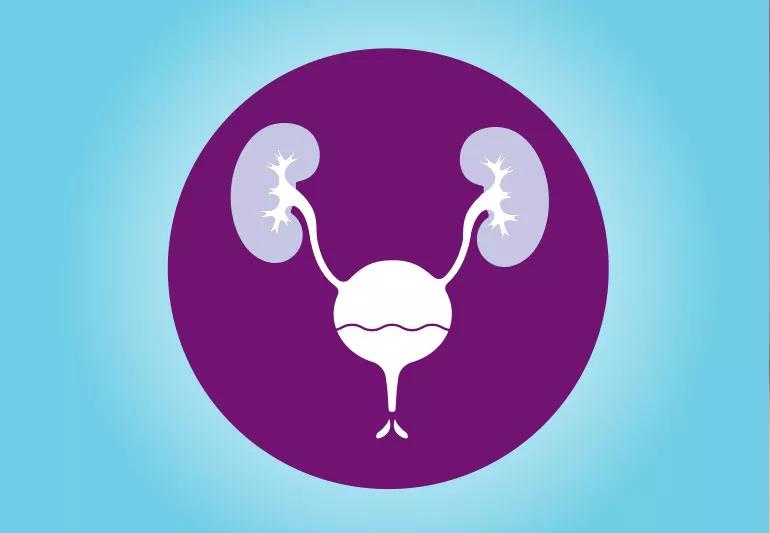 illustration of urine leaving the body in a split screen