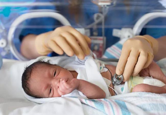 Neonate in incubator