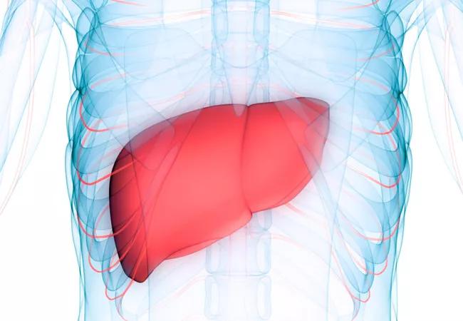 17-DDI-4190-Liver-CQD