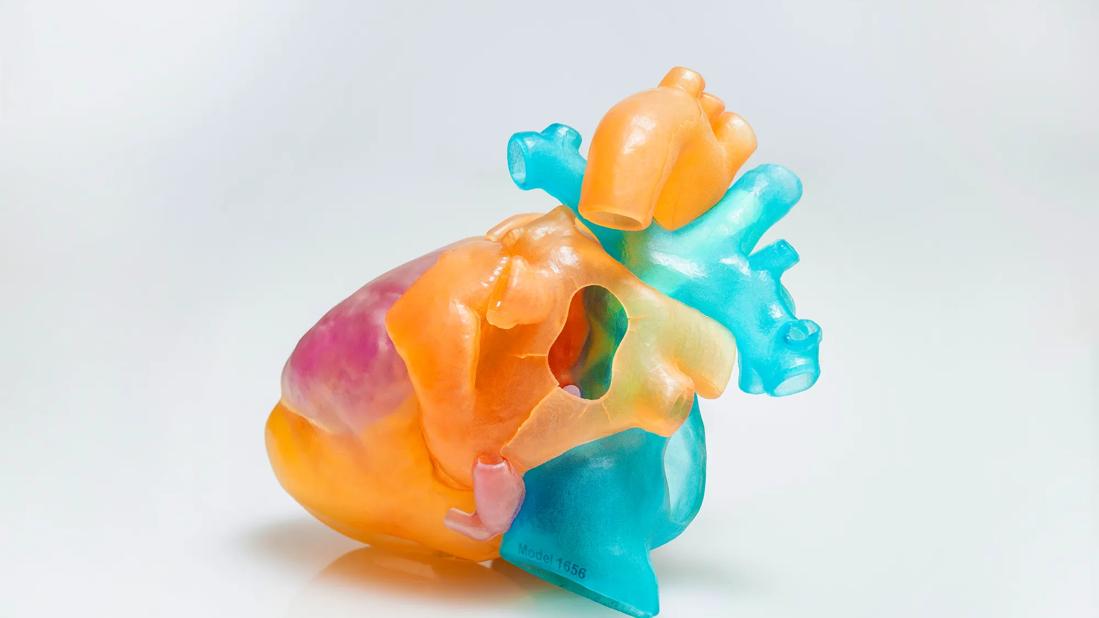 3D heart