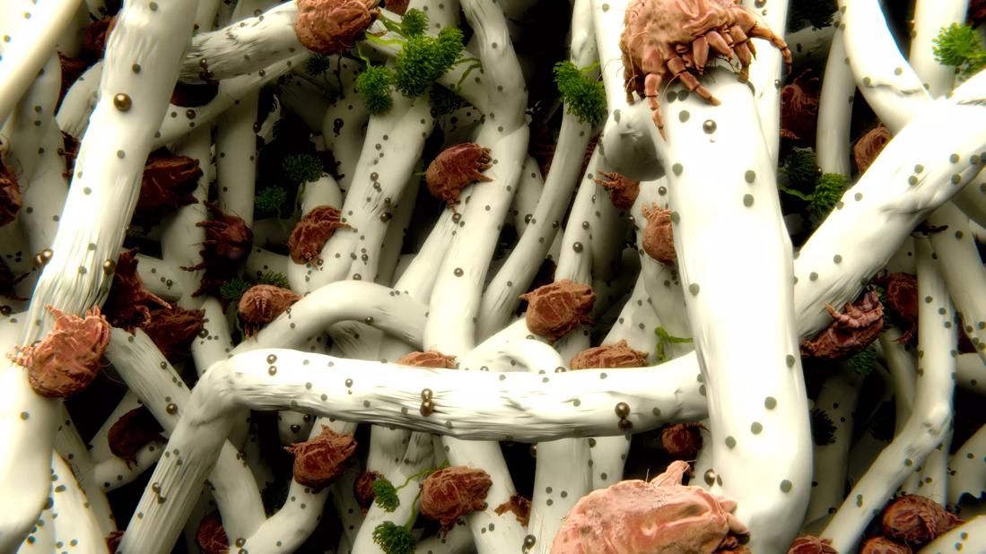 Allergen