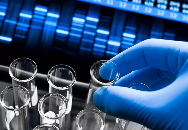 preforming genetic testing in the lab