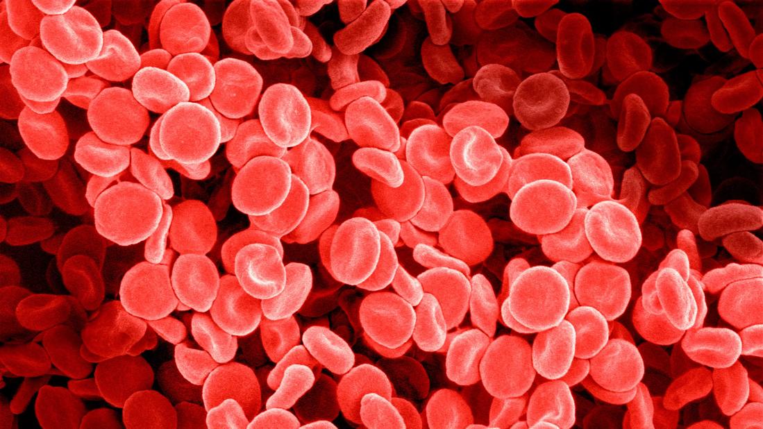 Illustration of red blood cells in motion