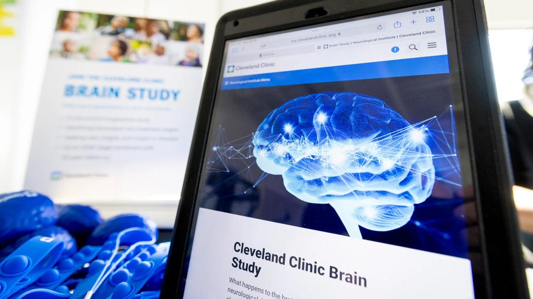 Brain study