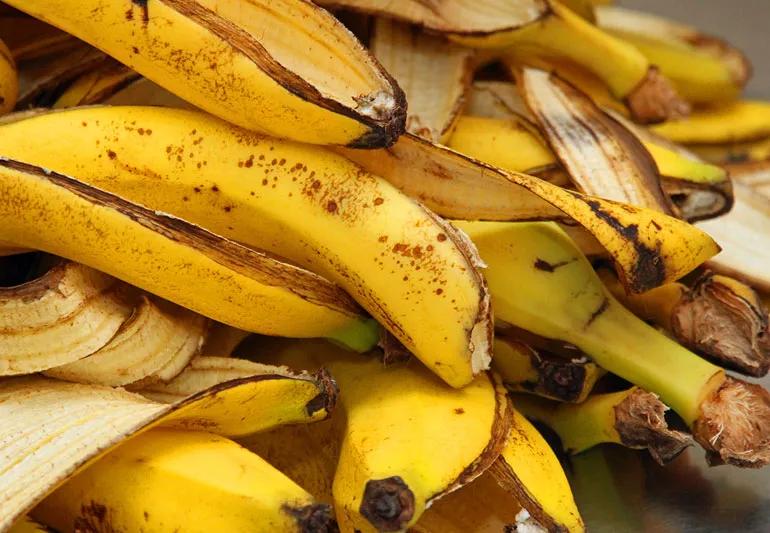 Closeup of a bunch of banana peels.