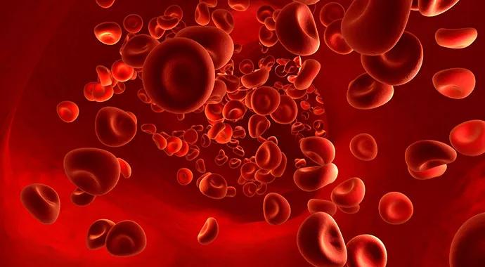 Anticoagulation-690&#215;380