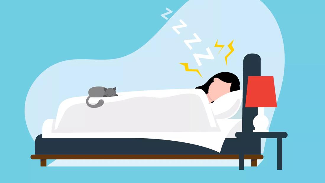 An illustration of a person sleeping with a cat sitting on the bed