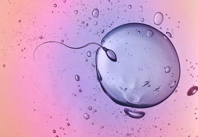 650&#215;450-Infertility