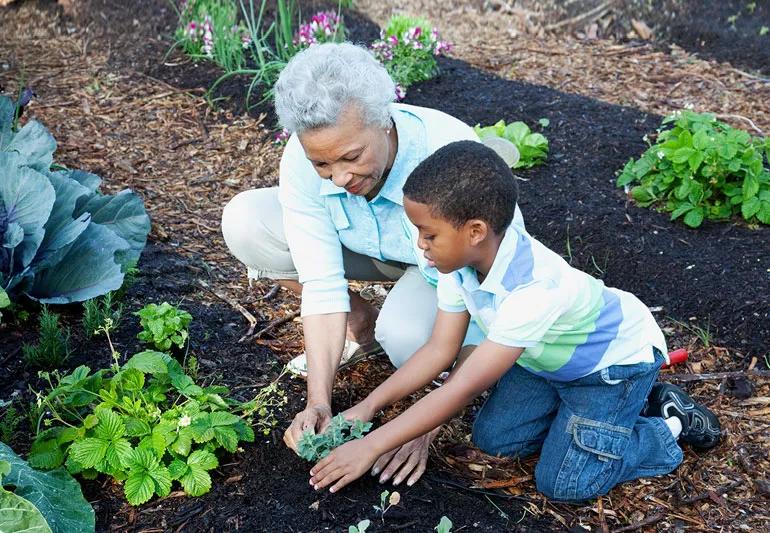 grandma and grandson in the garden